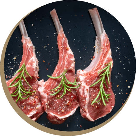 Hero Image-lamb